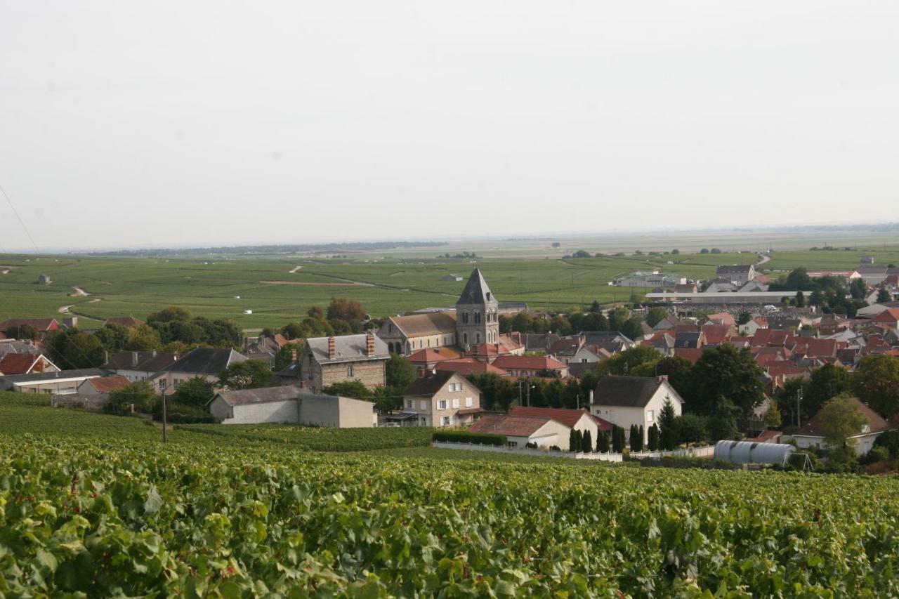 Bed and Breakfast Demeure Saint Martin Blancs-Coteaux Exterior foto