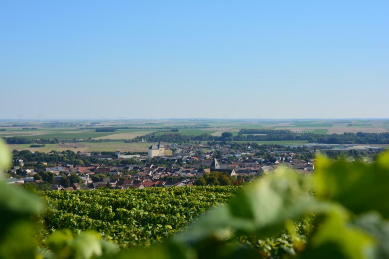 Bed and Breakfast Demeure Saint Martin Blancs-Coteaux Exterior foto
